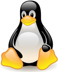 linux-penguin-logo.jpg