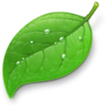 Coda.png
