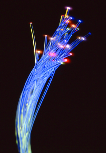 Thumbnail image for optical-fibers.jpg