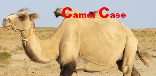 camelcase.jpg