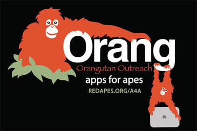 orangutan-apps-for-apes.jpg