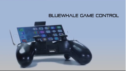 bluewhale.png
