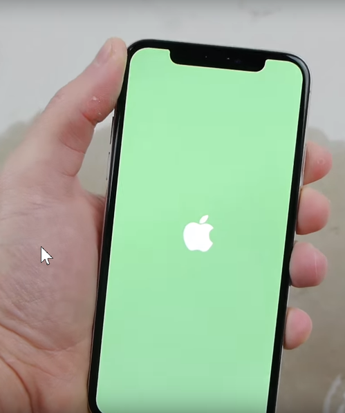apple-iphone-x-samsung-galaxy-s8-freeze-test-iphone-green-screen-of-death.png