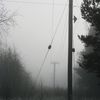 foggy-telephone-pole.preview.jpg