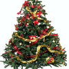 christmas-tree-2011.jpg