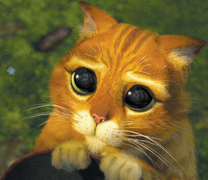 puss-in-boots-sad-eyes.png