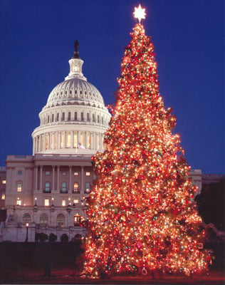 Christmas Tree Capital