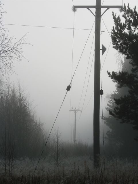 via www.absolutely-free-pictures.com/image-galleries/foggy-pictures/foggy-telephone-pole