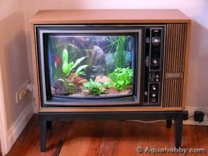 old tv-300px-Finished-fish-tank.jpg