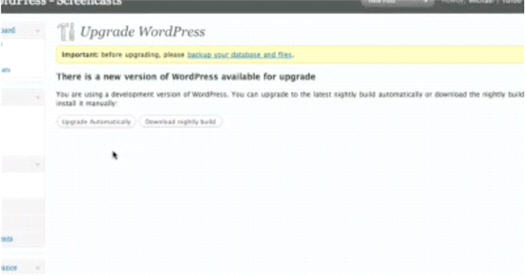 wordpress-auto-update.jpg