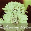 thanksgiving-message.jpg